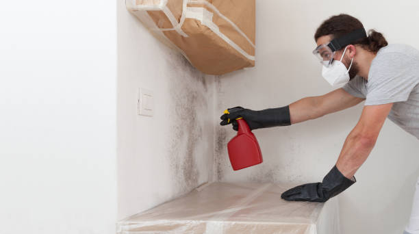 Professional Bathroom Mold Removal technician working in Woodcliff Lake, NJ