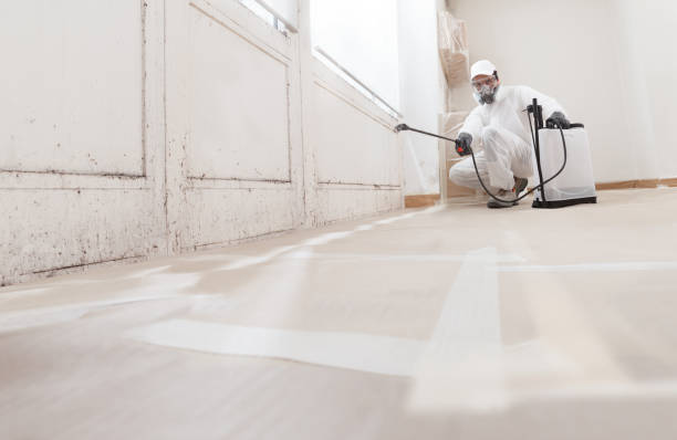24/7 Emergency Bathroom Mold Removal experts in Woodcliff Lake, NJ